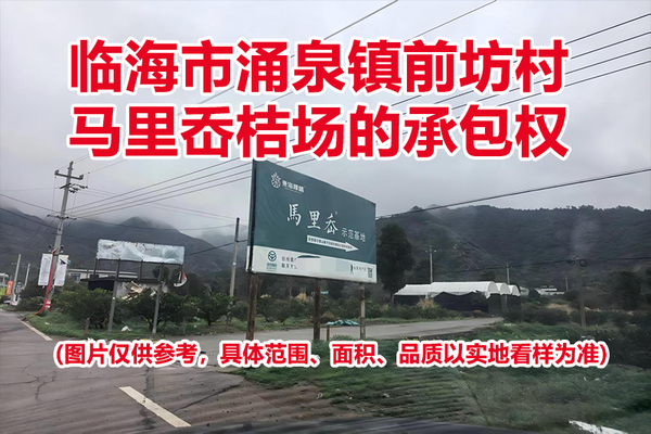 临海市涌泉镇前坊村马里岙桔场的承包权